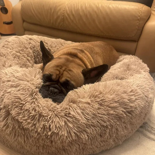 Cama relajante para perro mediano lavable (tipo dona)