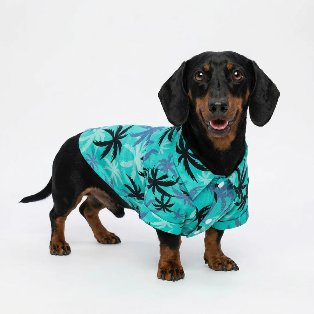 TROPICAL COCONUT PALM DOG SHIRT