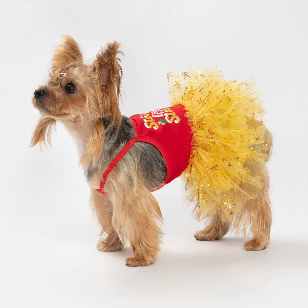 SLEIGH GIRL SLEIGH DOG DRESS