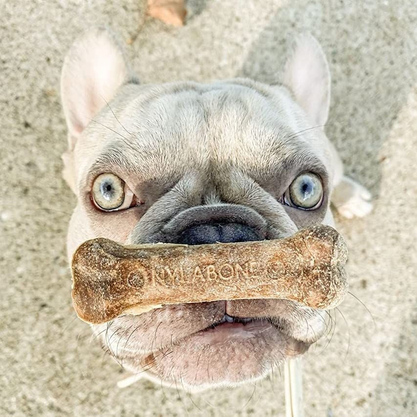 Nylabone Healthy Edibles All-Natural Long Lasting Roast Beef Dog Chew Treats, Mediano, 2 unidades