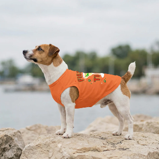 FIESTA TIME DOG SHIRT