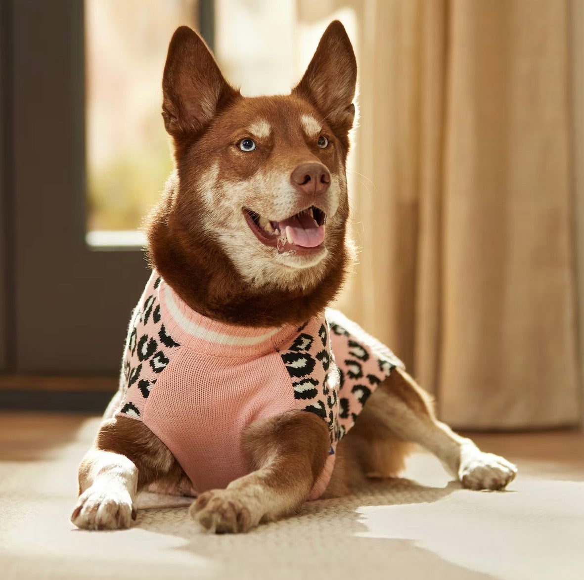 Leopard Print Dog sweater