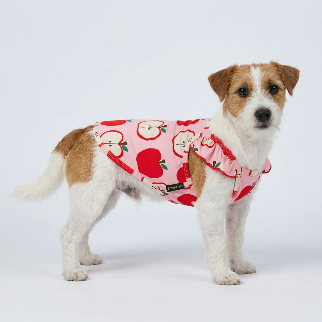 APPLE RUFFLE DOG SHIRT