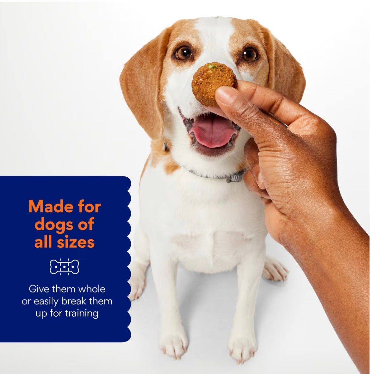 Soft-Baked Turkey Recipe Grain-Free Dog Treats