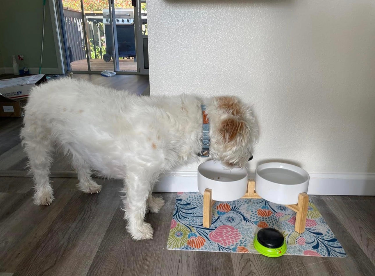 Elevated Ceramic Dog Bowl Set for Small and Medium Dogs - 28.74 OZ - 3.6 CUPS - 850 ML