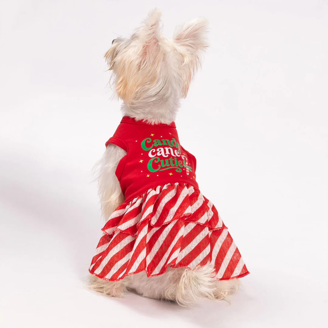 CANDY CANE CUTIE DOG DRESS