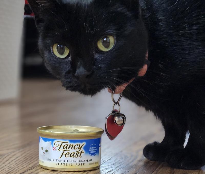 Fancy Feast Classic Paté, Ocean whitefish and tuna feast, 24 latas 3 onzas