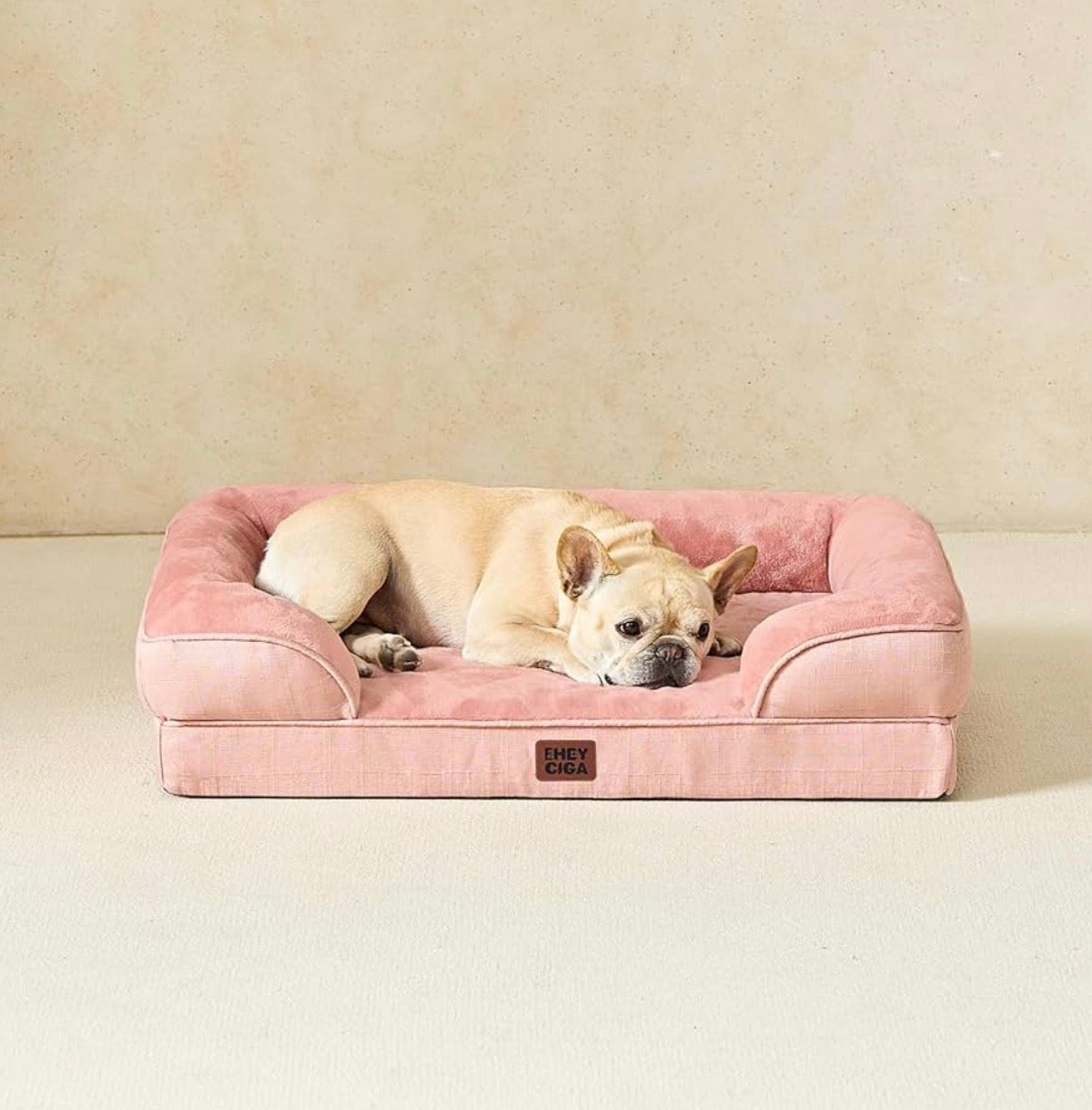 Cama ortopédica para perro mediano