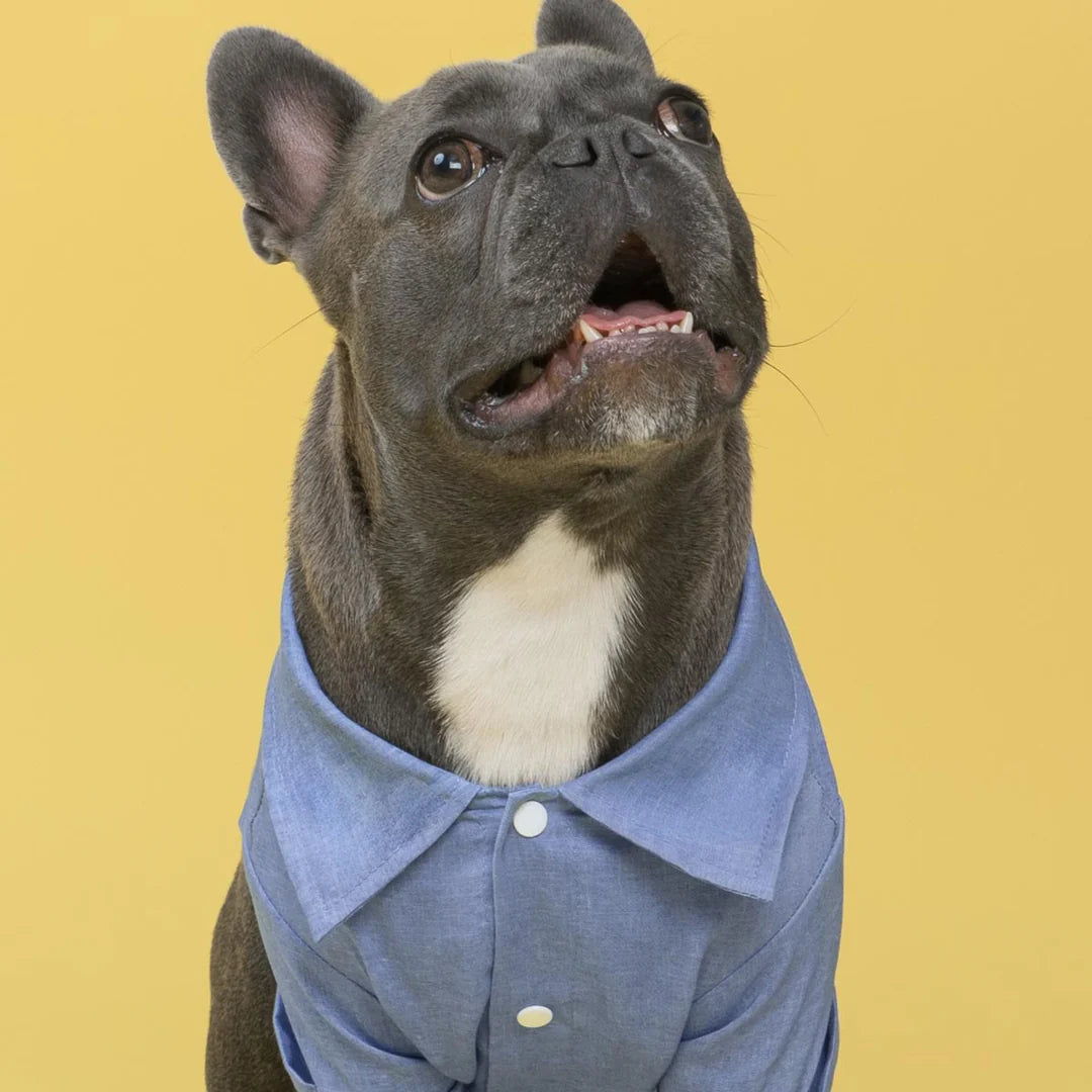 LINEN DOG BUTTON UP SHIRT