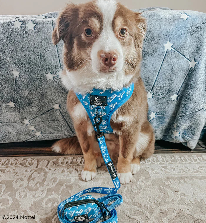 Sassy woof- pechera y correa KEN™