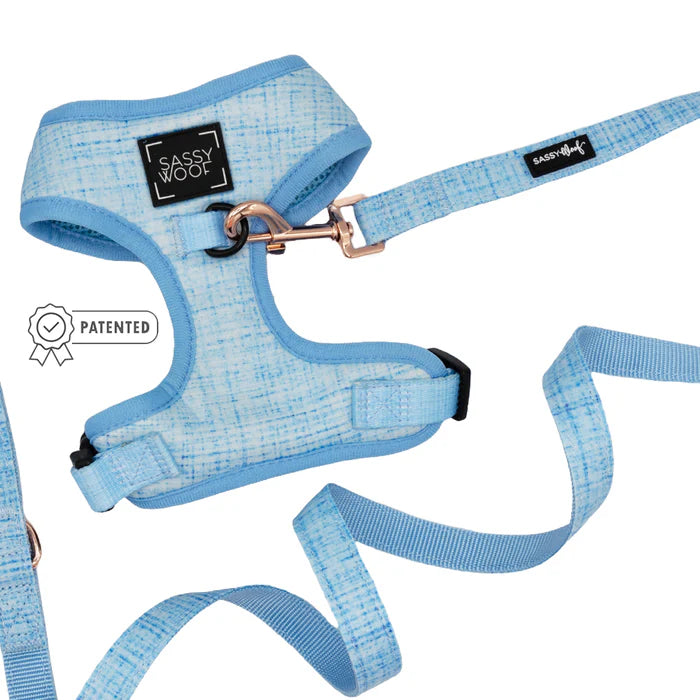 Sassy Woof- pechera ajustable y correa Blumond