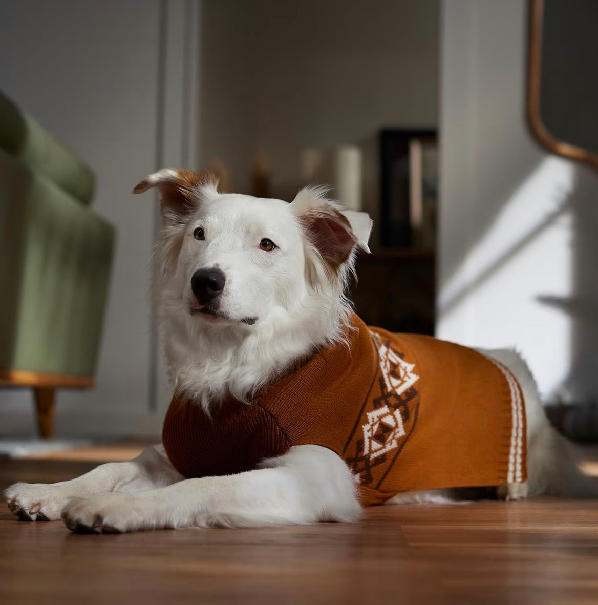 Western Pattern Dog & Cat Sweater