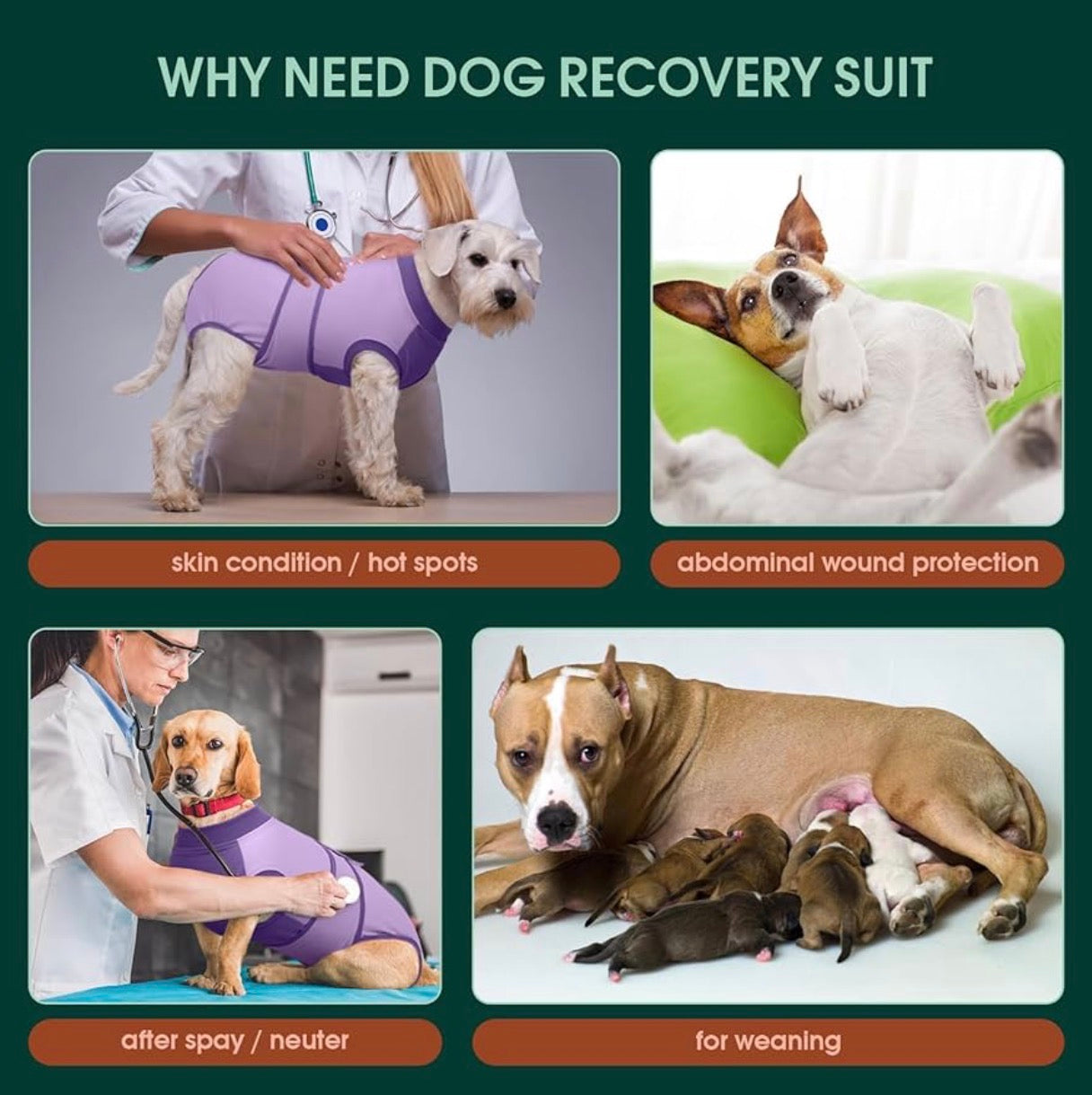 Traje de recuperación para perros después de la cirugía