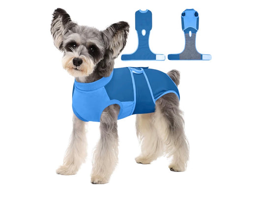 Traje de recuperación para perros