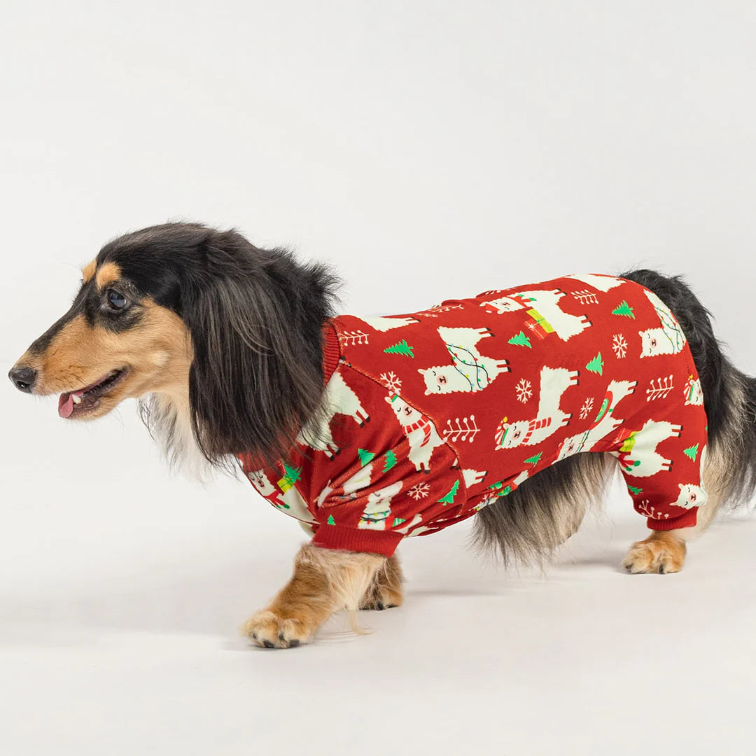 CHRISTMAS ALPACA DOG PAJAMAS
