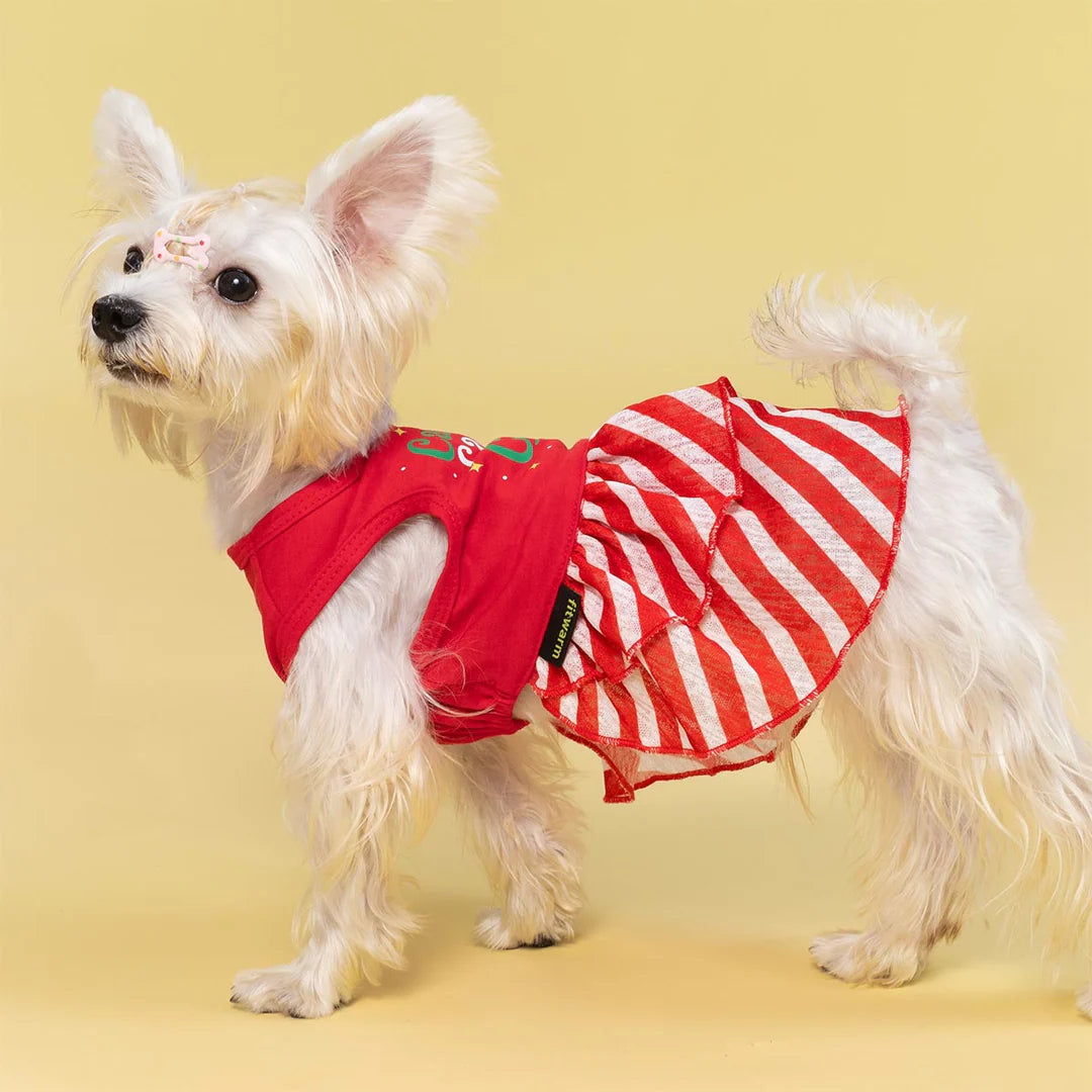 CANDY CANE CUTIE DOG DRESS