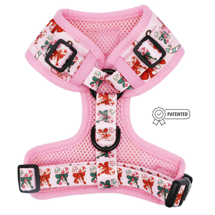 Sassy woof- Holiday collection Pechera y correa a juego candy cane