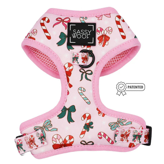 Sassy woof- Holiday collection Pechera y correa a juego candy cane