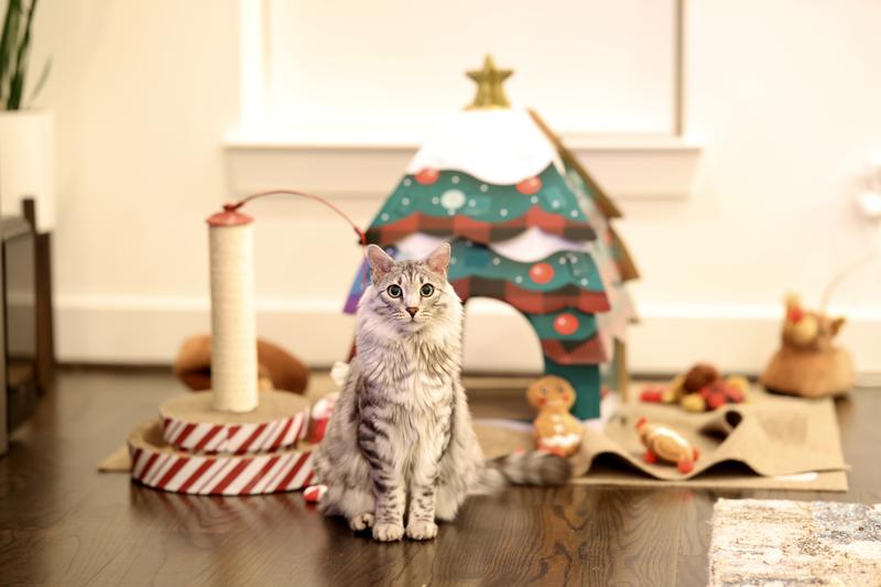 Holiday Christmas Tree Cardboard Cat House