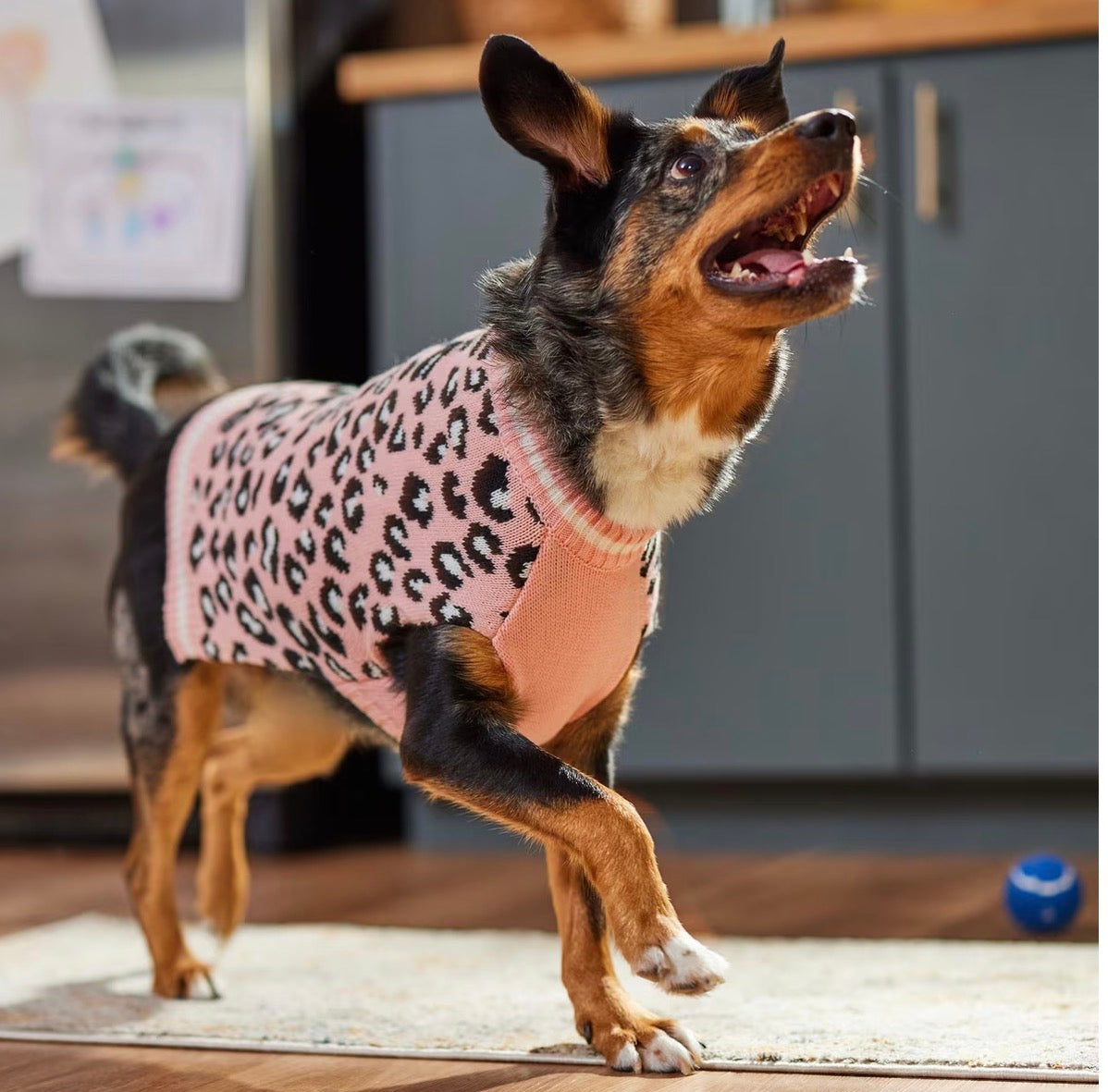 Leopard Print Dog sweater