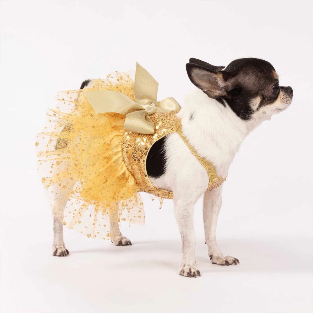 SPARKLY SEQUIN DOG TUTU DRESS, Dorado