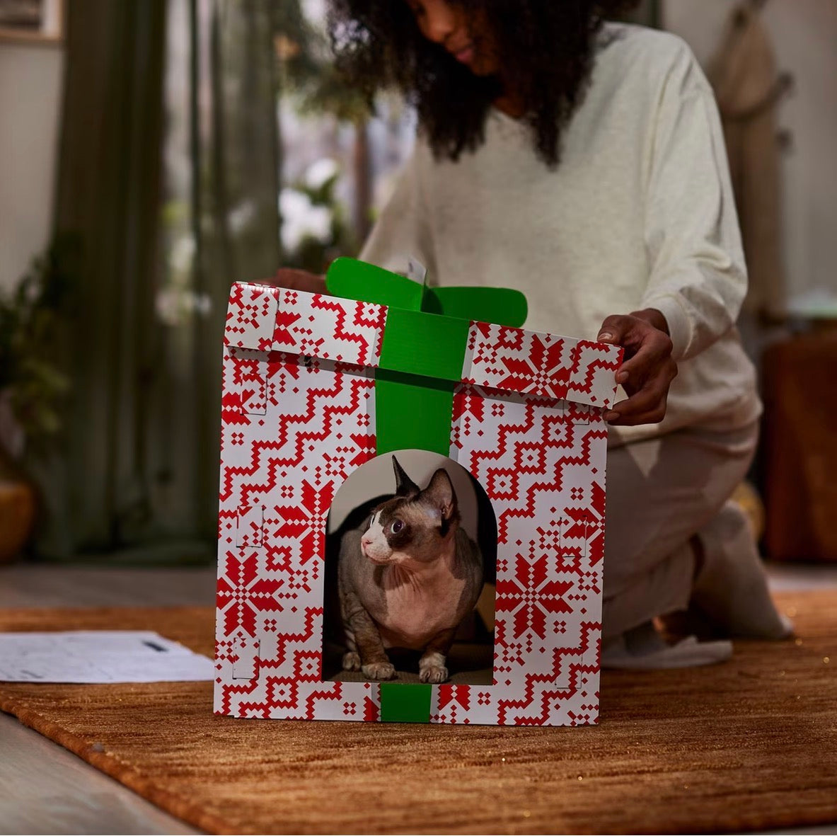 Holiday Gift Box Cardboard Cat House