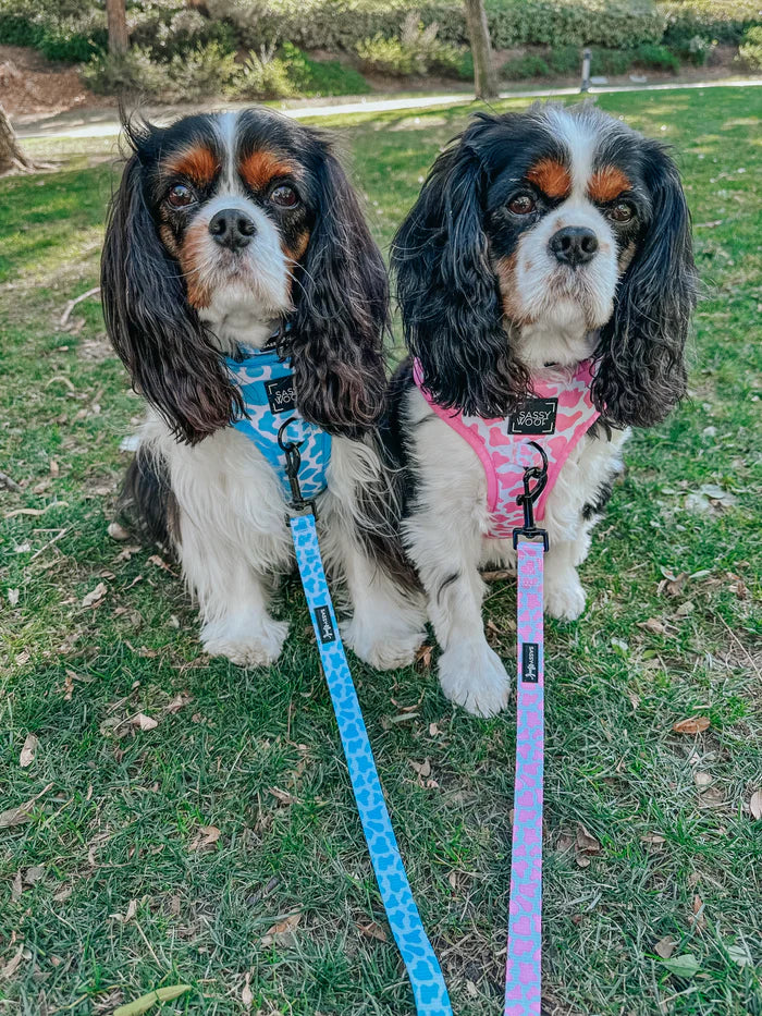 Sassy woof- pechera y correa Blueberry milk