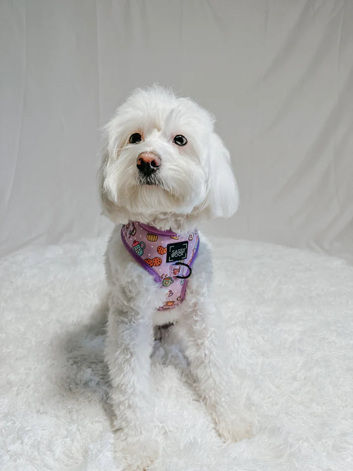 Sassy Woof- pechera y correa ajustable