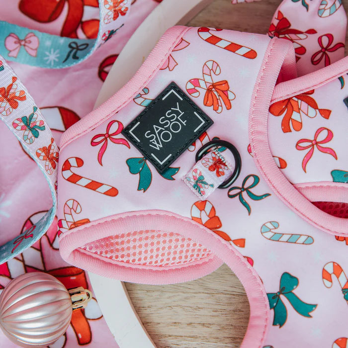 Sassy woof- Holiday collection Pechera y correa a juego candy cane