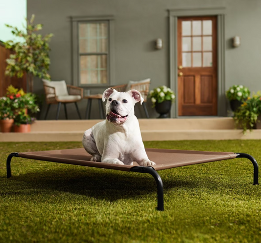 Frisco Cama elevada de metal para perro