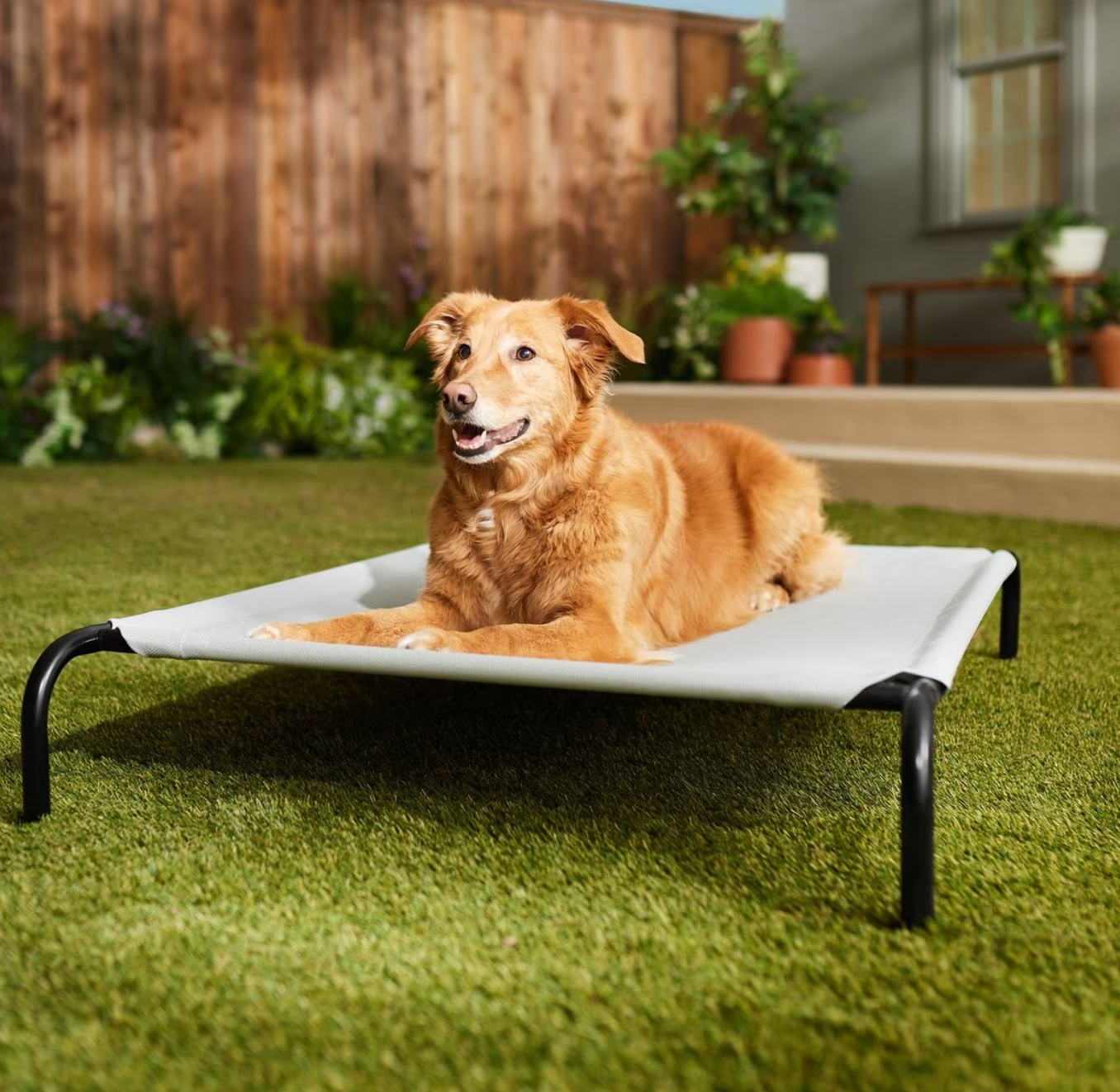 Frisco Cama elevada de metal para perro