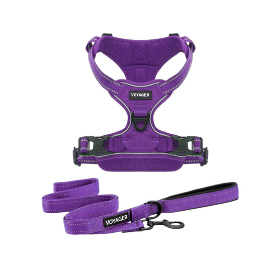 Best Pet Supplies Voyager Dual Attachment Outdoor Dog Harness