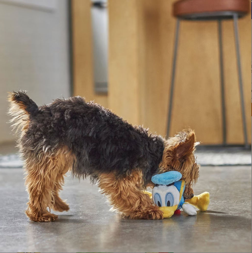 Disney Donald Duck Plush Squeaky Dog Toy, Small