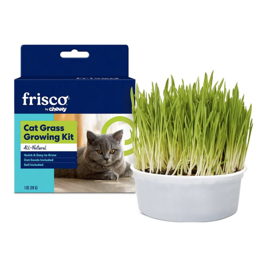 Frisco Natural Cat Grass Growing Kit