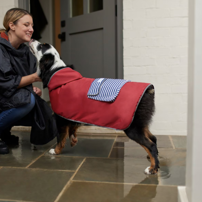 Lightweight Reversible Packable Travel Dog Raincoat - Rojo