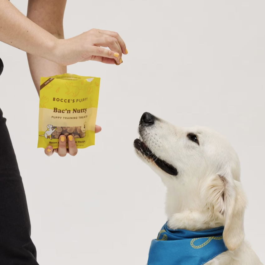 Bocce's Bakery Puppy Bac'n Nutty training treats