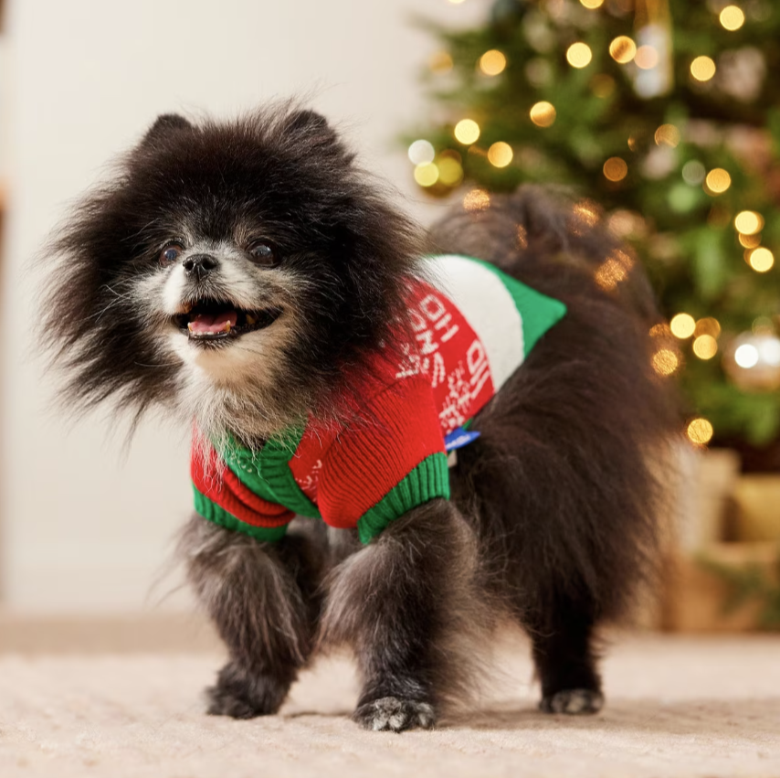 Up to Snow Good Dog & Cat Sweater