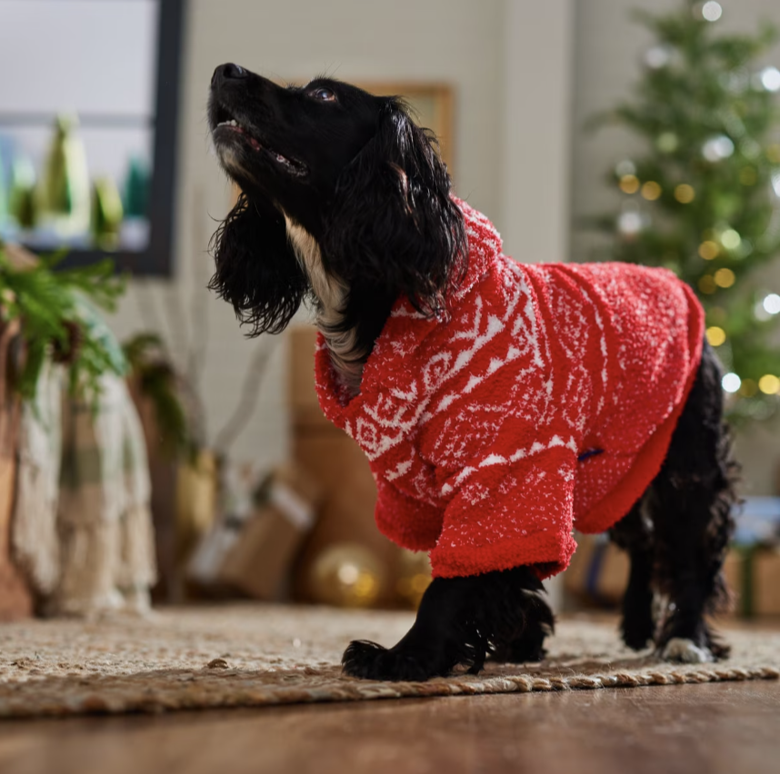 Snuggle Up Knit Dog & Cat Hoodie, Red