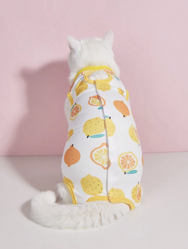 Traje post operatorio para gatos y perros pequeños
