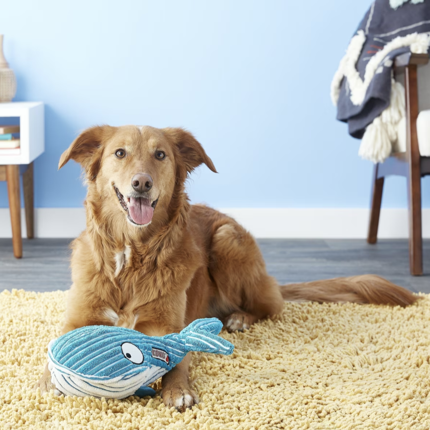 KONG CuteSeas Whale Dog Toy, Large