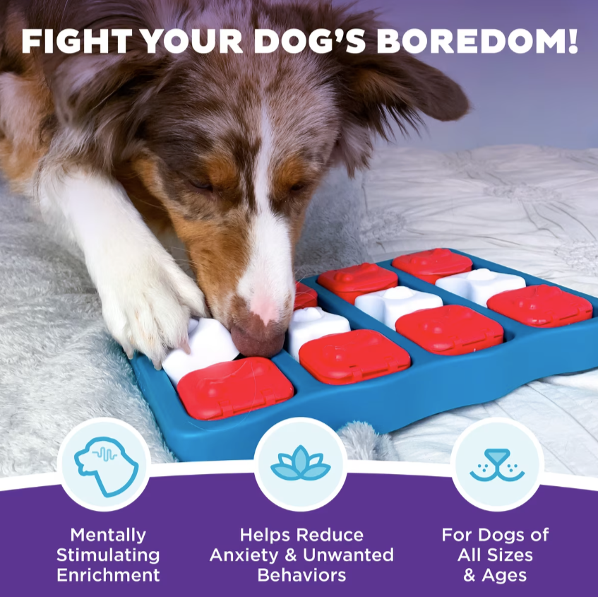 Nina Ottosson by Outward Hound Brick Puzzle Game Dog Toy, Blue & Red
