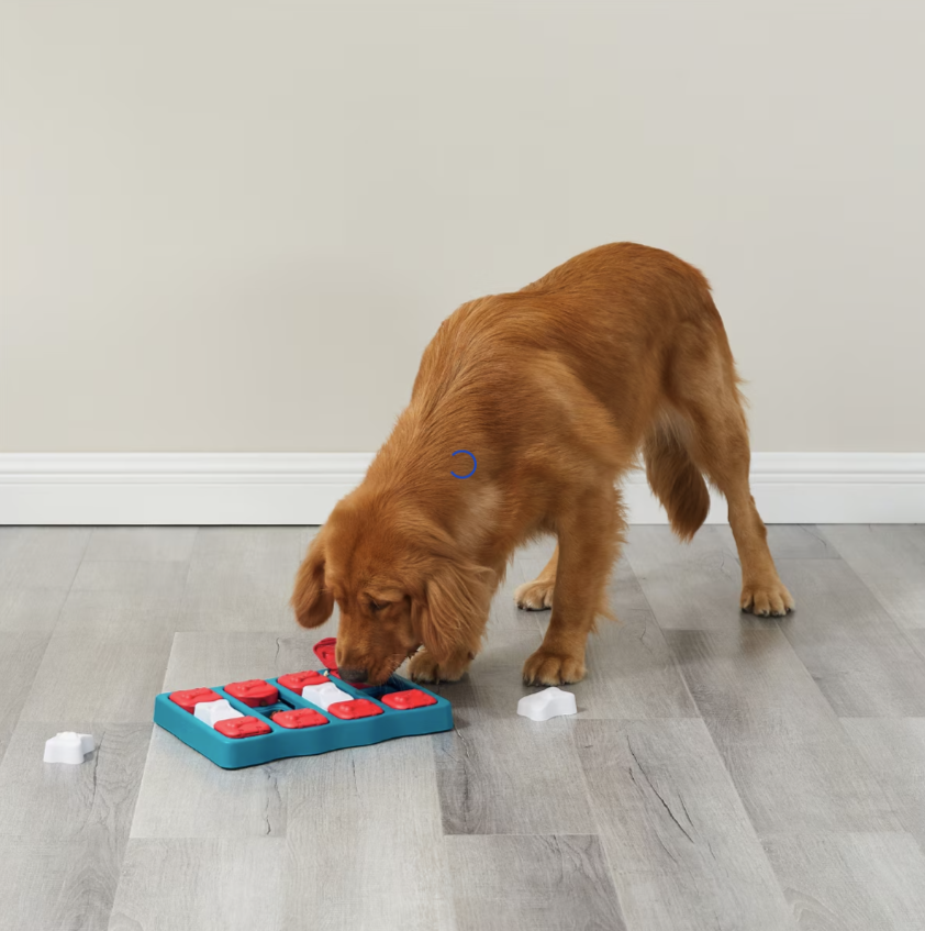 Nina Ottosson by Outward Hound Brick Puzzle Game Dog Toy, Blue & Red