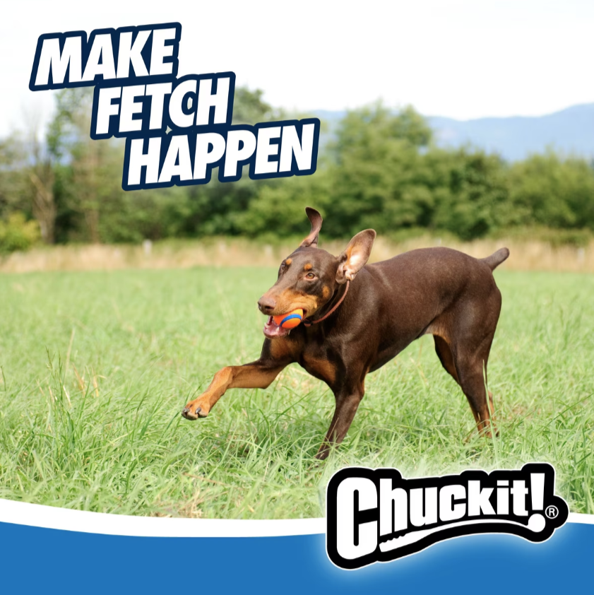 Chuckit! Ultra Rubber Ball Tough Dog Toy, Large