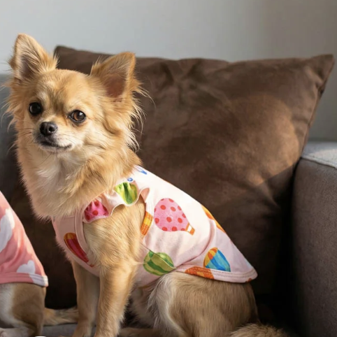 Hot Air Balloon Dog Shirt