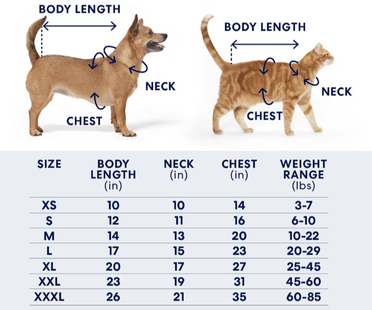 knit sweater "joy"  dog