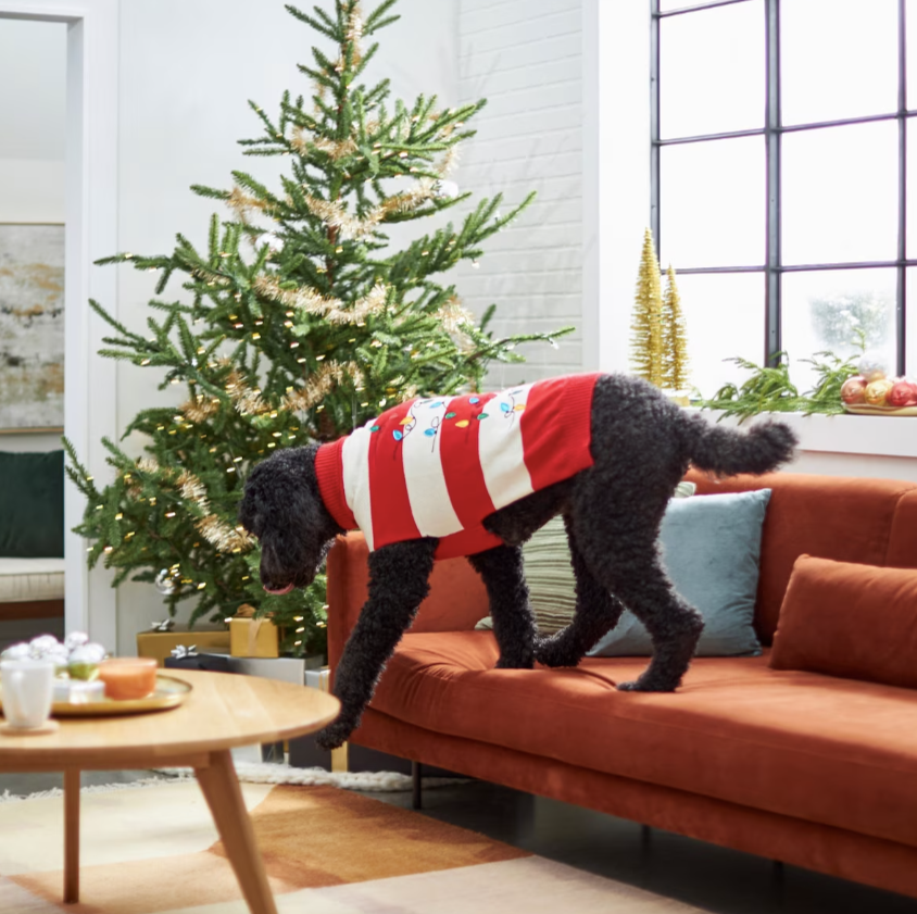 String Christmas Lights Dog & Cat Christmas Sweater