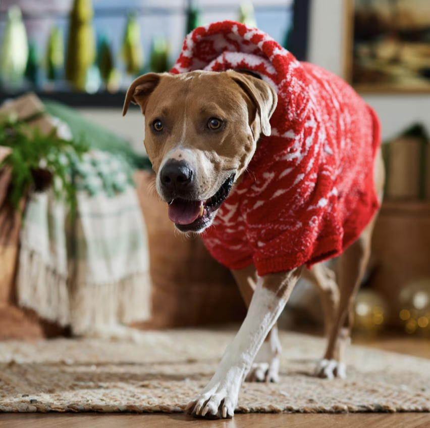 Snuggle Up Knit Dog & Cat Hoodie, Red