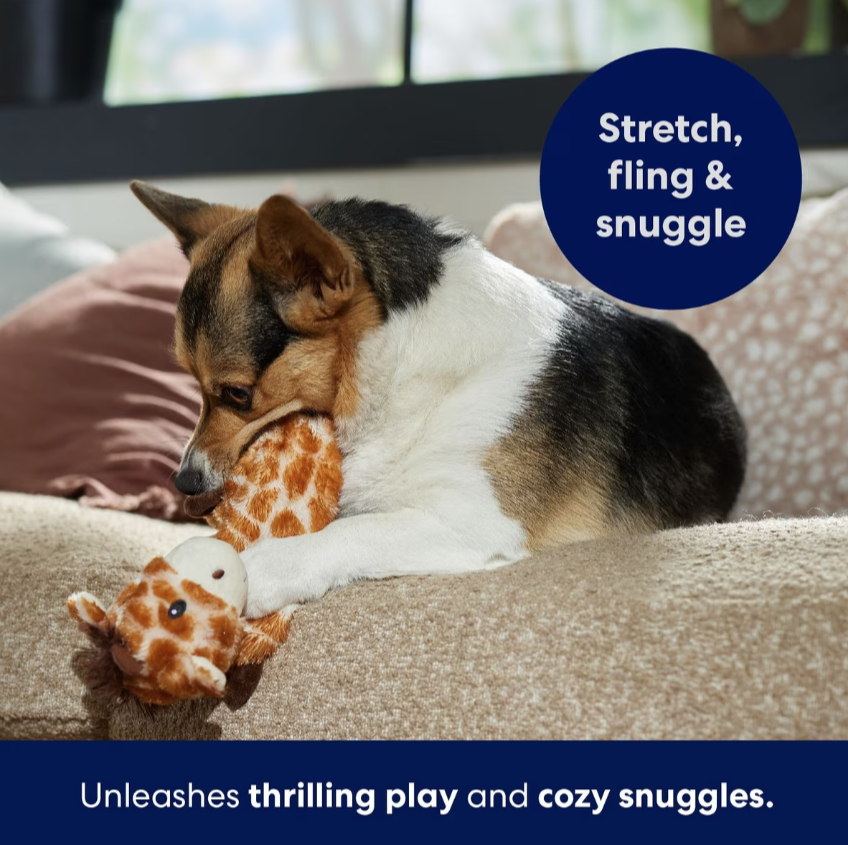 Giraffe Bungee Plush Squeaky Dog Toy