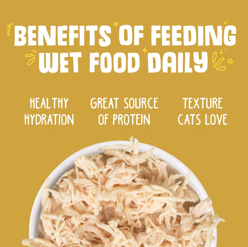 Weruva Paw Lickin' Chicken in Gravy Grain-Free Wet Cat Food, 10-oz, case of 12