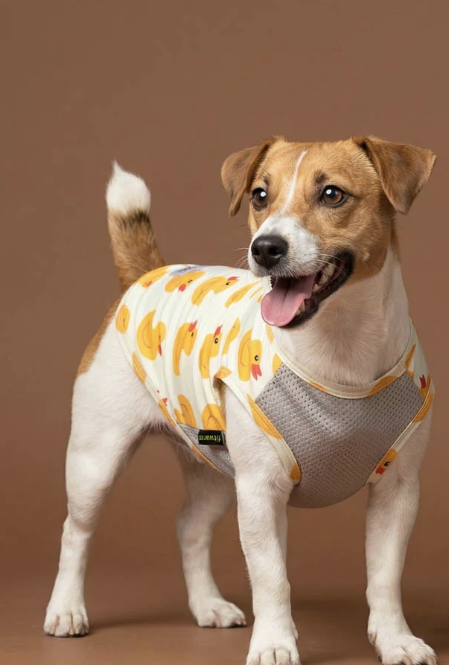 Duck Dog UV Protection Shirt